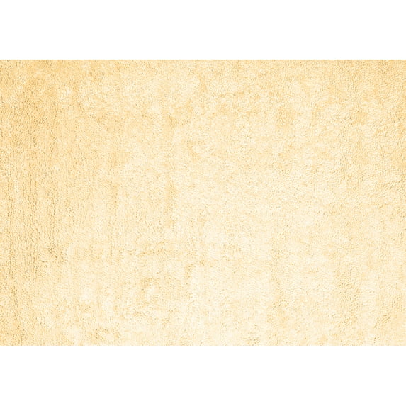 Ahgly Company Indoor Rectangle Solid Brown Modern Area Rugs, 8' x 12'