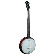 Rocky Top Banjo Composit Back