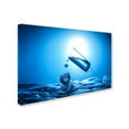 thumbnail image 2 of Trademark Fine Art 'Art Of Glass' Canvas Art by Leon Sitanggang, 2 of 3