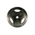thumbnail image 2 of 355 lb. Olympic Weight Plate Set, Black Rubber Grip (Commercial Gym Quality) by Troy Barbell, 2 of 4