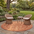 thumbnail image 3 of Safavieh Courtyard Nanda Botanical Indoor/Outdoor Area Rug, Terracotta/Natural, 5'3" x 5'3" Round, 3 of 10