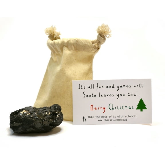 Santa's Scientific Christmas Coal, Premium Cotton Bag and 1 Large Lump (2.5" x 2" x 1.5" approx. -- Egg or Golf Ball Sized) - Genuine American Coal - Includes Experiment