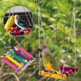 thumbnail image 3 of Juego de juguetes para loros Columpio colgante de madera para masticar Juguetes coloridos para mascotas, 3 of 8