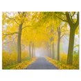 thumbnail image 2 of Misty Road in Yellow Autumn Forest - Landscape Photography Canvas Print, 2 of 3