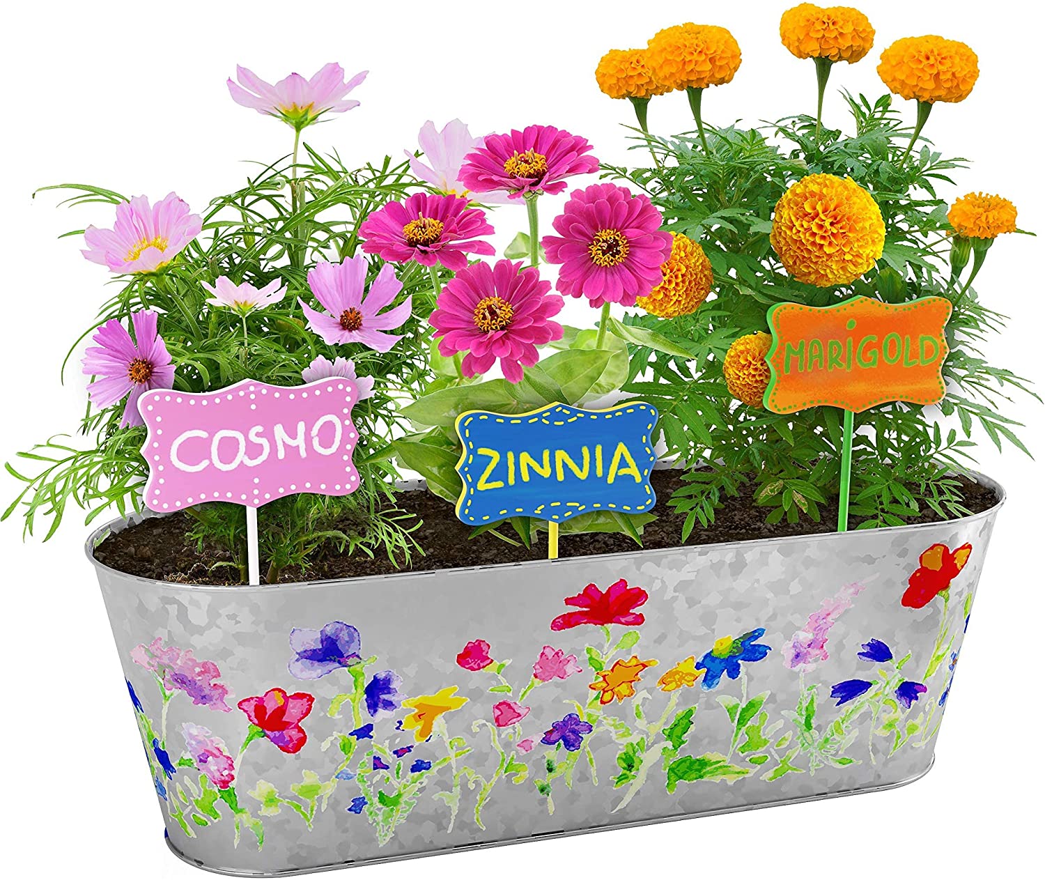 Dan&Darci Paint & Plant Flower Growing Kit for Kids - Best Birthday Crafts Gifts for Girls & Boys - Christmas Gift - Childrens Gardening Kits, Art Projects Toys for Ages 4-12