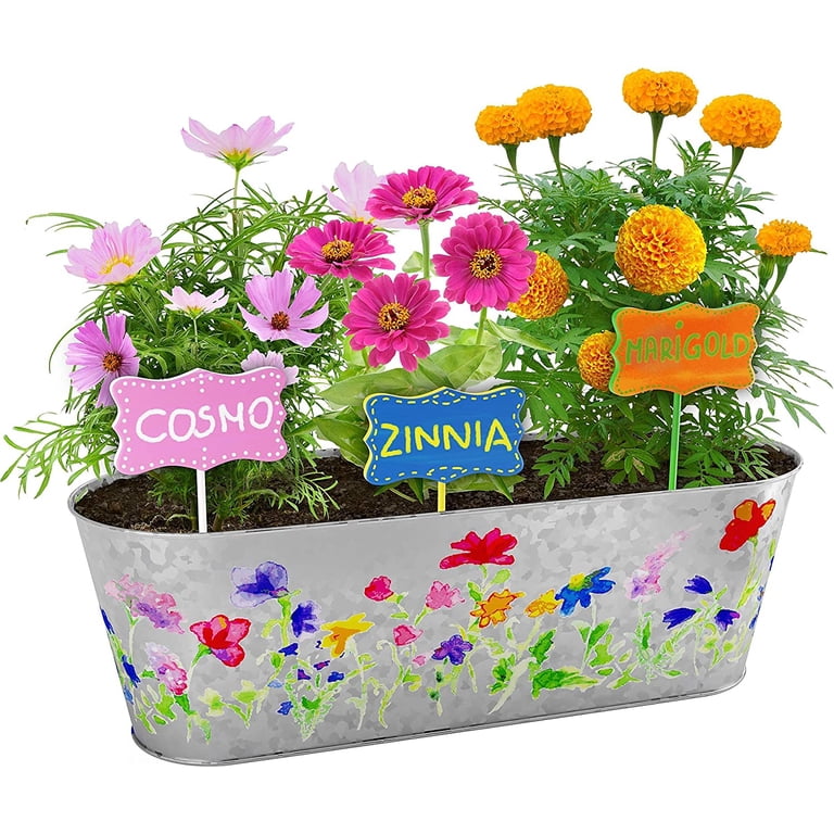 Dan&Darci Paint & Plant Flower Growing Kit for Kids - Walmart.com