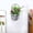 Silver Coated, variant on BBH Homes UBBBAOB203SCHS 10 x 5.5 x 6 in. Handmade 100 Percent Iron Round Modern Planters Pot, Tan