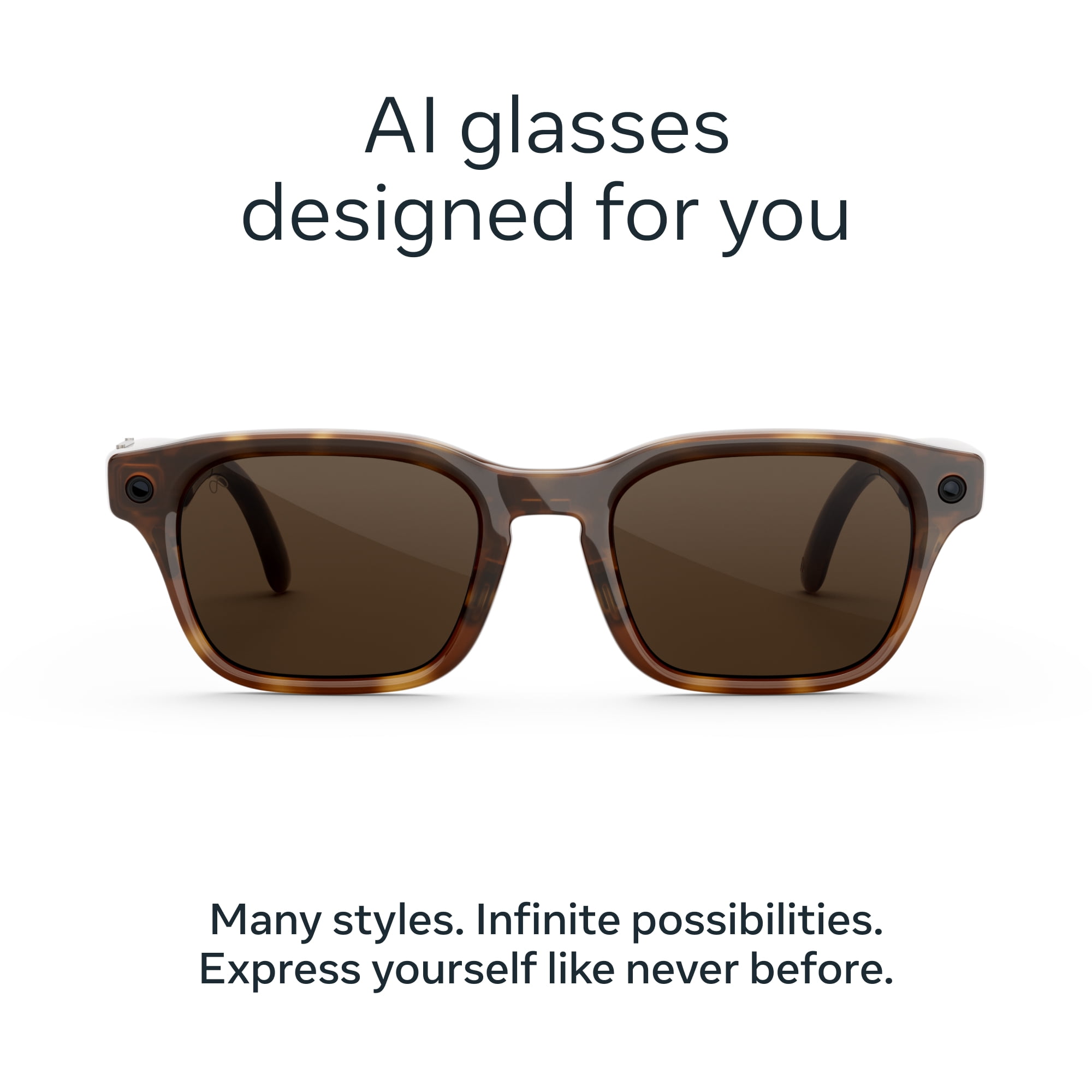 Meta Adventurer Classic Tortoise, Brown Lenses