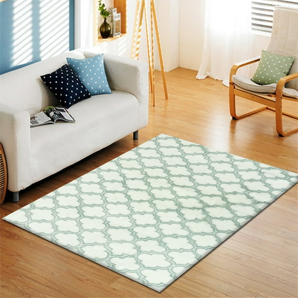 Soft Rug for Bedroom, 4 Sizes, Fluffy Area Rug for Living Room, Furry