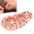 thumbnail image 4 of Ear Zone Model, Excellent Educational Tools Human Ear Acupuncture Model Comfortable Touch Feelings  For Classroom For School For Teaching For  School, 4 of 8