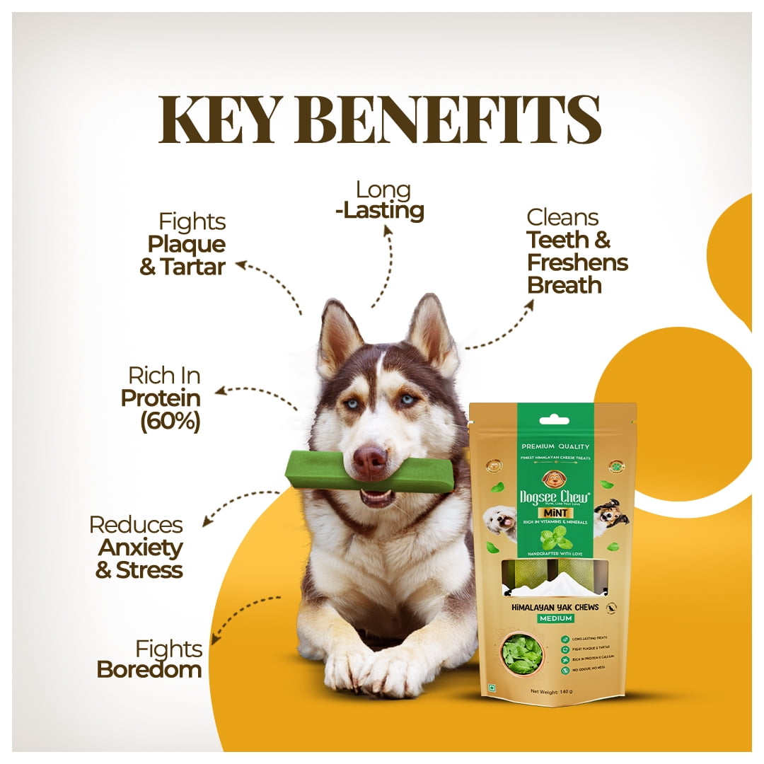 Dogsee Mint Yak Cheese Dental Chews Medium Dogs 1 lb 6 Odorless Bars