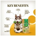 thumbnail image 7 of Dogsee Mint Yak Cheese Dental Chews Medium Dogs 1 lb 6 Odorless Bars, 7 of 7
