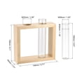 thumbnail image 3 of Uxcell 30x150mm Flat Base Glass Test Tubes with 2-Wells Wooden Tube Rack 3in1 Set, 3 of 5
