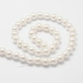 thumbnail image 2 of 1 strand Rainbow Plated Shell Pearl Bead Strands Grade A Round Old Lace 10mm Hole: 1mm 41pcs/strand 16 inch Shell Pearl, 2 of 3