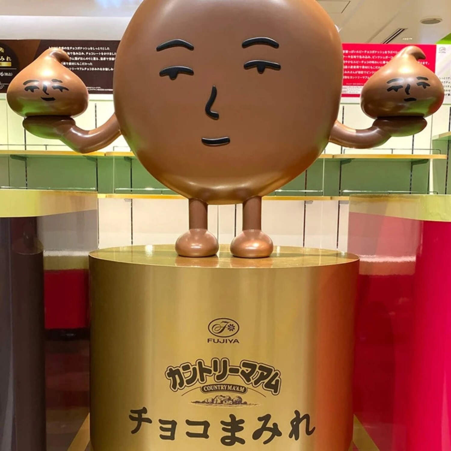 FUJIYA COUNTRY MA'AM MDP Chocolate Enrobed Soft Cookies 122g x 5 Bags - Tokyo Sakura Mall