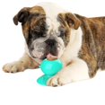 thumbnail image 1 of Dog Puzzle Slow Feeder Pet Teeth Cleaning Training Toy Interactive Chew Dog Toy, 1 of 5