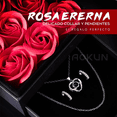 thumbnail image 3 of Rosas Rojas Eternas Decorativas Pendientes +collar Mujer Xtellar plateado, 3 of 3
