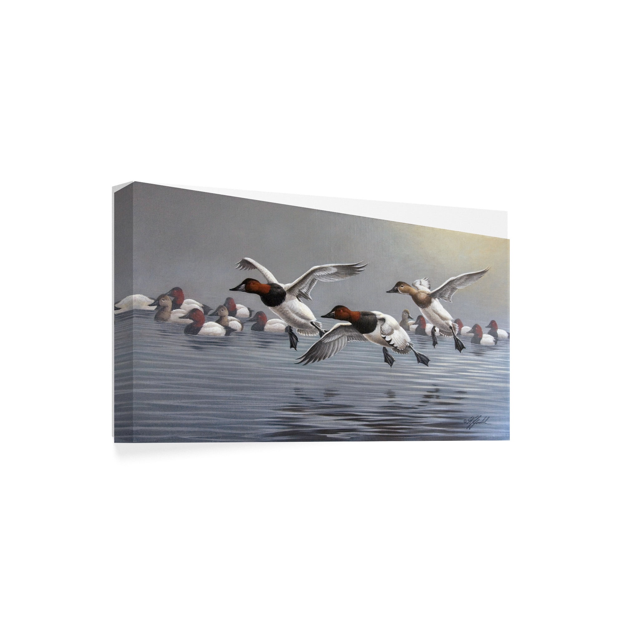 Trademark Fine Art 'Canvasbacks Coming In' Canvas Art by Wilhelm Goebel