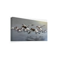 thumbnail image 2 of Trademark Fine Art 'Canvasbacks Coming In' Canvas Art by Wilhelm Goebel, 2 of 3