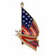 thumbnail image 1 of Broche de cristal con bandera americana ER, 1 of 4