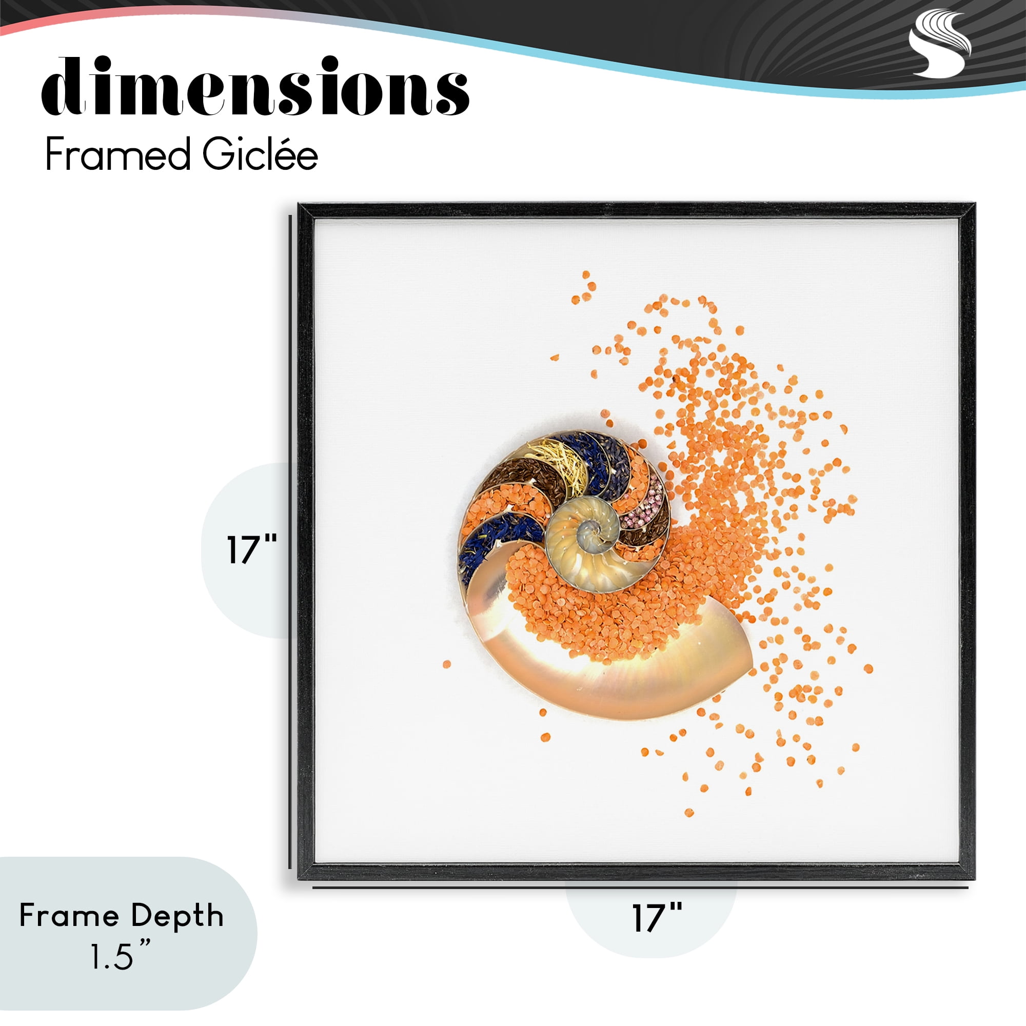 Stupell Industries Orange Nautilus Spiral Black Framed Giclee Art, design by Beth Adoette