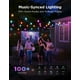 thumbnail image 5 of Guirnalda de luces para exteriores Govee S14, 45 LED RGBIC, 2.144 pies, 5 of 9