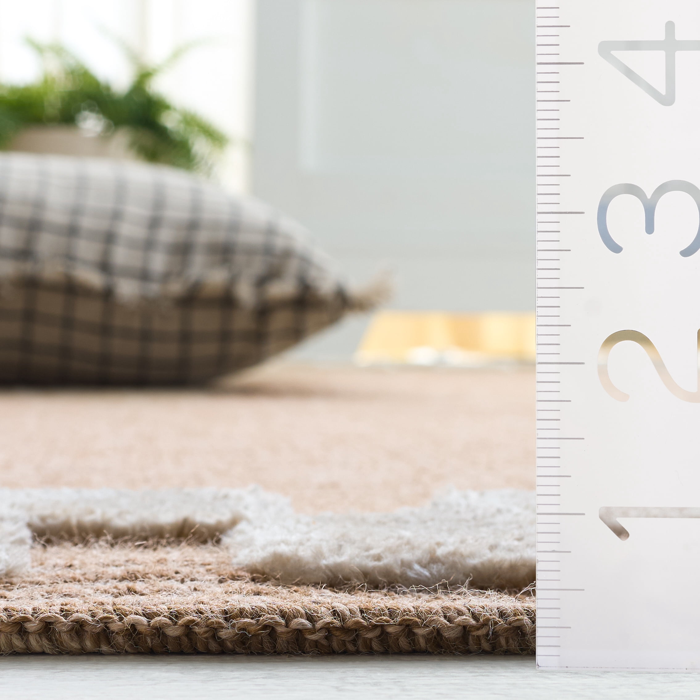 Safavieh Clayton Hervey Bordered Indoor/Outdoor Area Rug, Natural/Ivory, 5'3" x 7'6"