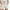 Beige, variant on Casual Shorts for Women Fashion High-Waist Straight-leg Sports Loose Yoga Running Shorts Workout Gym Shorts Blue