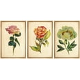 thumbnail image 3 of PixonSign Framed Wall Art Print Set Vintage Watercolor Rose & Peony Variety Floral Wilderness Illustrations Modern Art Glam Colorful Cool for Living Room, Bedroom, Office - 24"x36"x3 Natural, 3 of 5