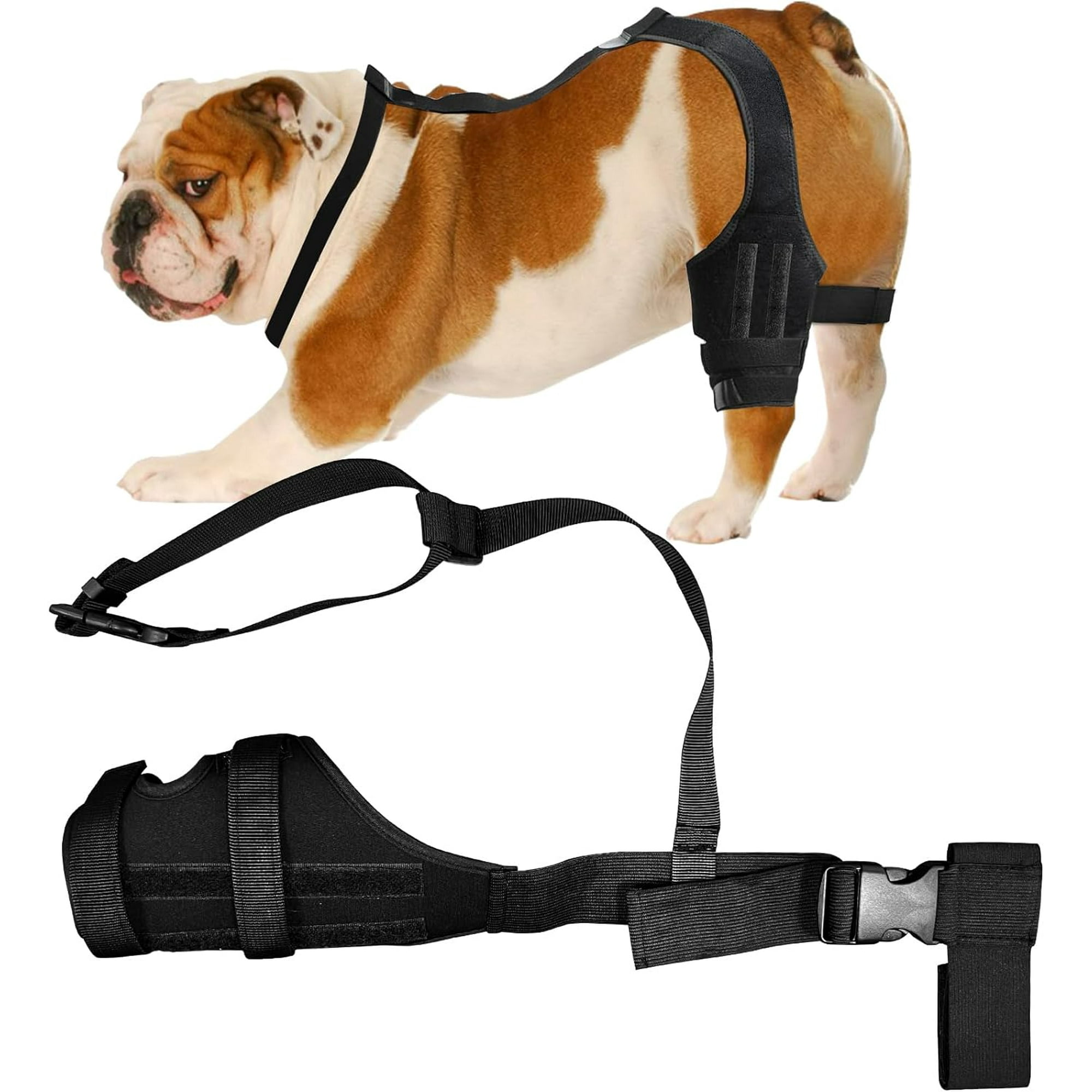 AVEKI Premium Dog Knee Brace for Torn ACL Hind Leg Dog ACL Knee Brace Dog Leg Braces for Support with Cruciate Ligament Injury Dog Hip Brace Better Recovery with Dog Leg Braces