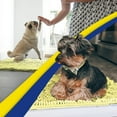 thumbnail image 5 of Muddy Mat® | Super Absorbent Door Mat Indoor, Microfiber Quick Dry Chenille Entryway Rug, Non-Slip Front Door Mat, Indoor Mats for Entryway, Machine Washable Pet Rug, Yellow 24"x36", 5 of 6