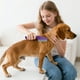 thumbnail image 4 of Peine Antipulgas Para Perros, Gatos Y Pequeños, Herramienta Para Eliminar Piojos Con Dientes Finos De Acero Inoxidable, Cuidado Suave Para Todo Tipo De Pelaje, 4 of 5
