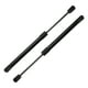 thumbnail image 1 of Soportes de elevación únicos para Dodge Charger 2006-2017, resorte de gas trasero negro 2PCS, 1 of 7