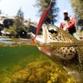 thumbnail image 4 of Cebo suave de cola en T, AR50 3PCS Cebo de pesca artificial de doble color Pesca Señuelos de gusano blandos Respuesta rápida, 4 of 12