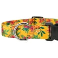 thumbnail image 5 of Country Brook Petz® Deluxe Tropical Floral Dog Collar - Made in the U.S.A., Extra Small, 5 of 5