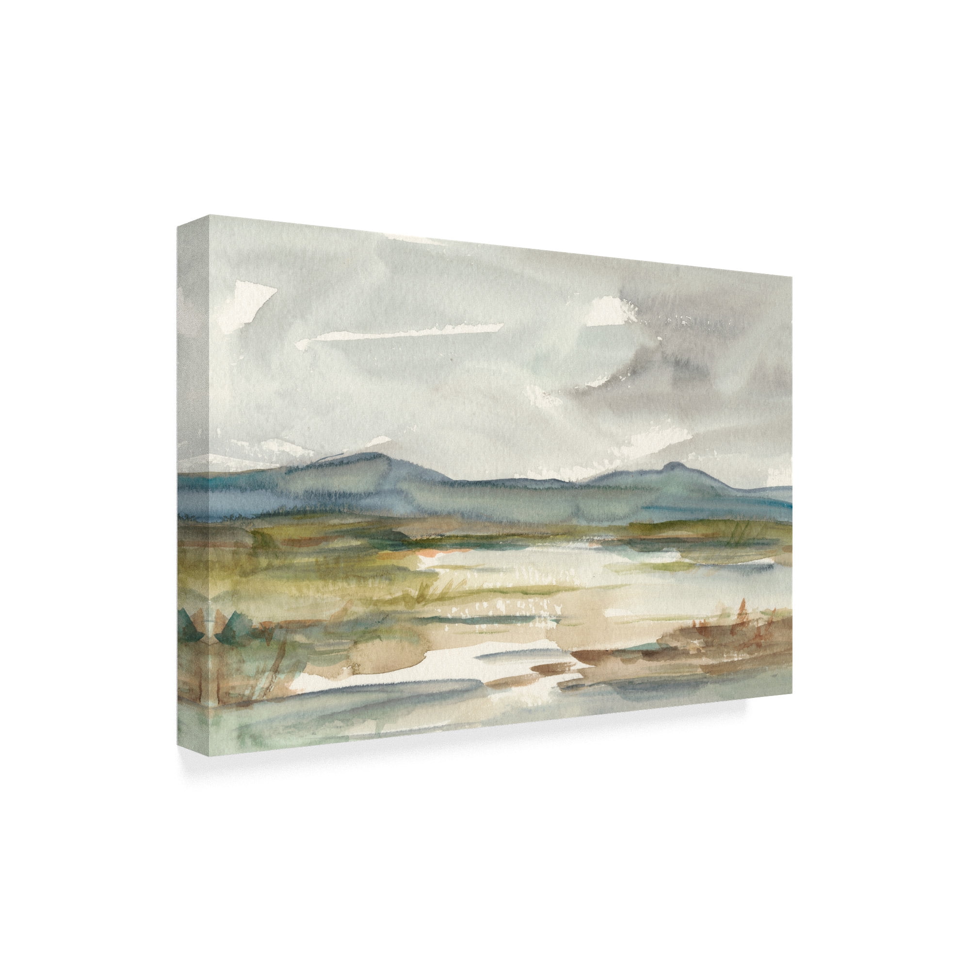 Trademark Fine Art 'Overcast Wetland I' Canvas Art by Ethan Harper