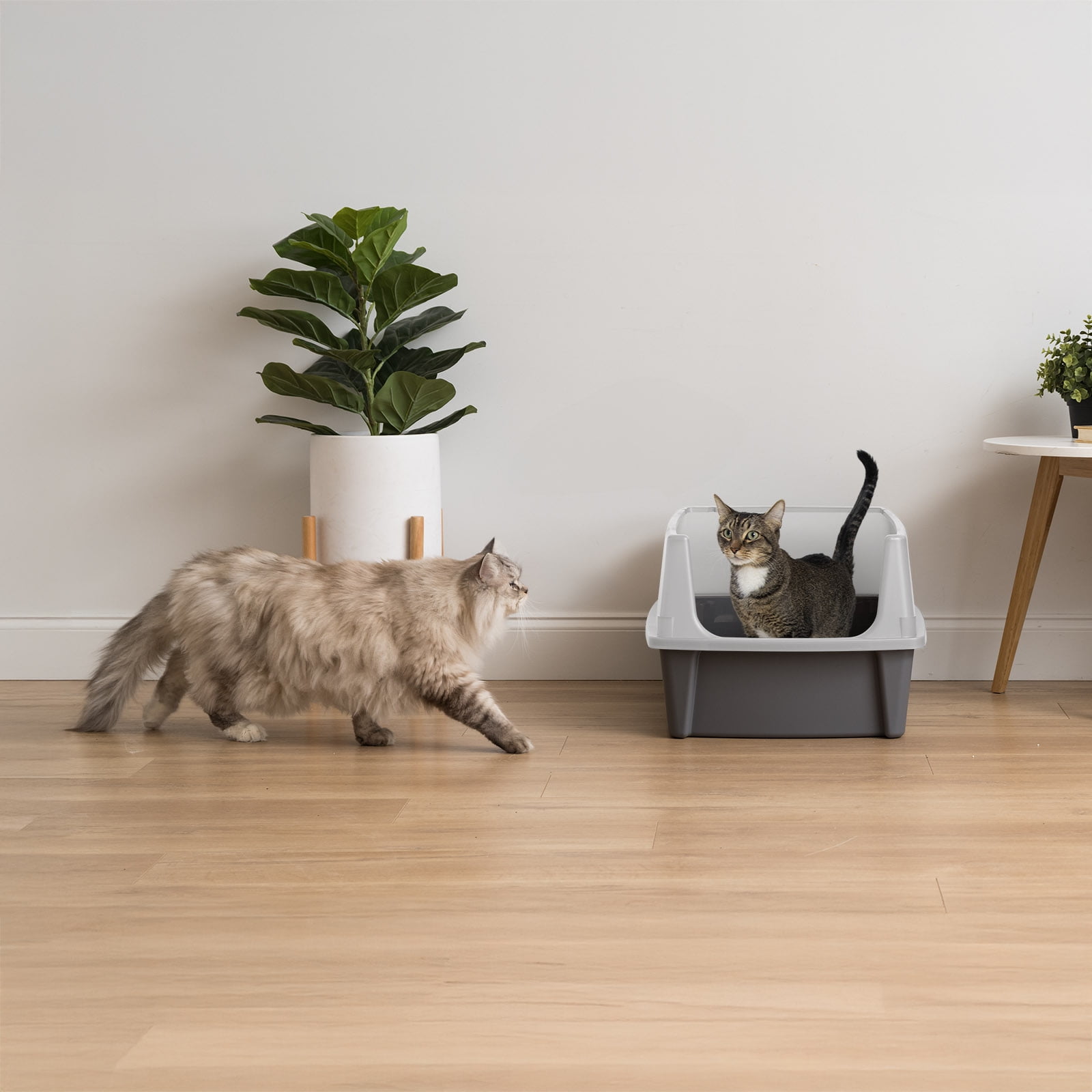 IRIS, XXL Open-Top Cat Litter Box with High Sides, Easy to Clean for Big Cats, Gray