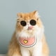 thumbnail image 3 of Fiudx Gafas de Sol para Mascotas, Diseño Retro de Montura Redonda, Lentes Reflectantes, Accesorio Creativo y Moderno, Ideal para Perros, Gatos, Muñecos de Juguete, Sesiones de Fotos de Mascotas, Fies, 3 of 4