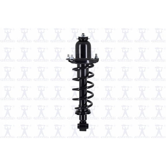 Suspension Strut and Coil Spring Assembly