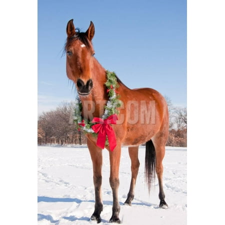 - Bay Arabian Horse in Snow with a Christmas Wreath around His Neck - Concept of Gift Horse Print Wall Art By Sari ONeal