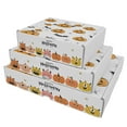 thumbnail image 6 of Ucanpack Holiday Gift Box Mailer Boxes 5 x 3 x 2" - Pumpkins Printed Christmas Box Shipping Box - Holiday Shipping Box Made In USA Christmas Packaging Small Business, 6 of 7