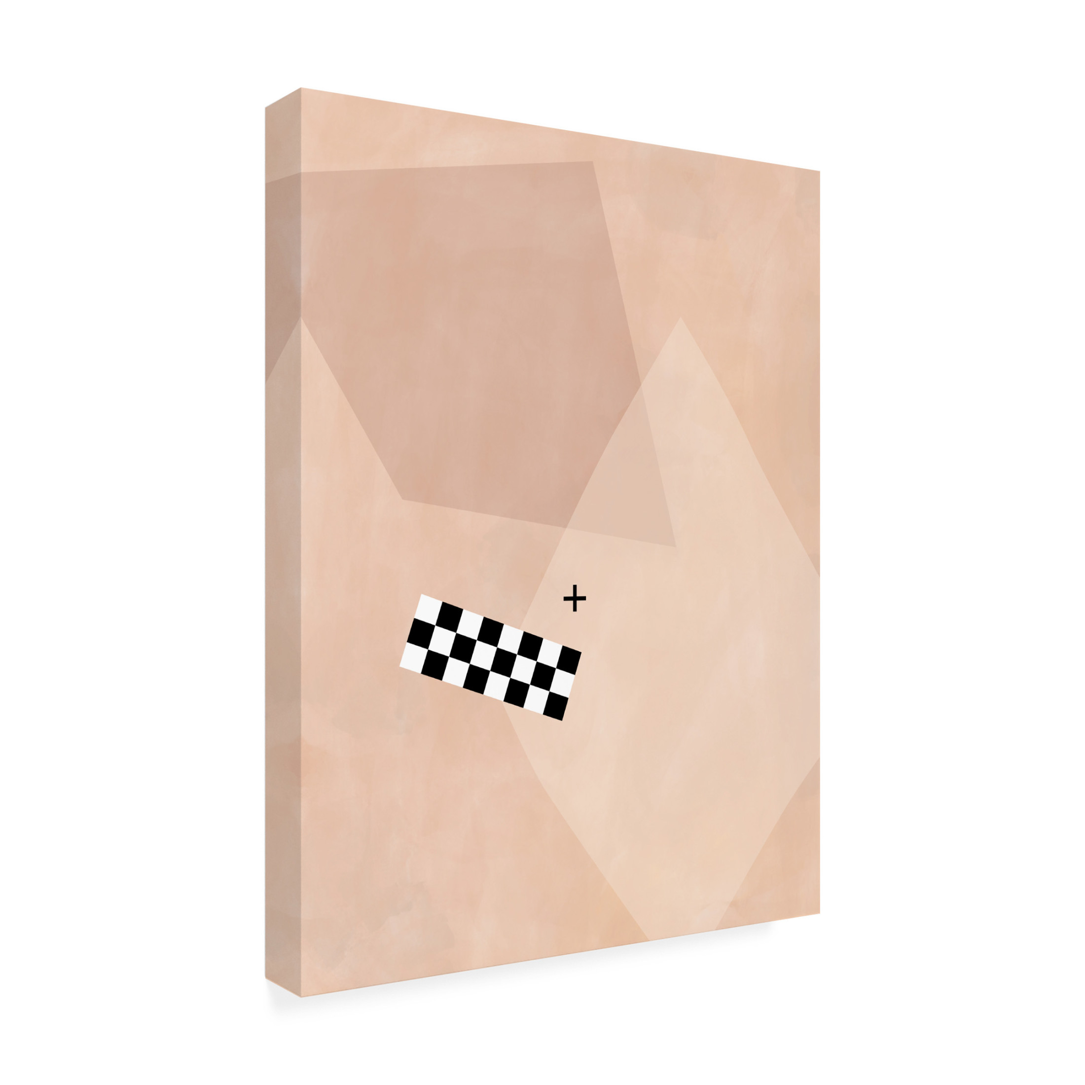 Trademark Fine Art Elena Ristova softpink17 Canvas Wall Art