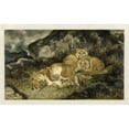 thumbnail image 2 of Antoine-Louis Barye 24x17 Gold Ornate Framed and Double Matted Museum Art Print Titled - Lioness and Cubs (C. 1832), 2 of 4
