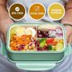 thumbnail image 2 of Bento Boxes for Adults - Lunch Box For Kids Childrens With Spoon & Fork - Durable Perfect Size BPA-Free, 2 of 4