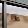 thumbnail image 3 of Boxer Puppy Dog Sleeping on Guitar Home Business Office Sign, 3 of 4