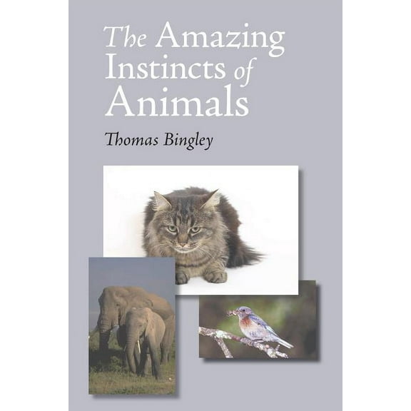 The Amazing Instinct of Animals (Paperback)
