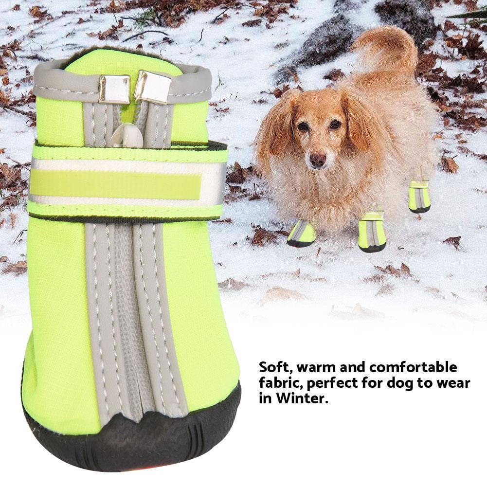 big dog snow boots