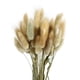 thumbnail image 1 of 1 paquete/50 piezas de hierba seca de cola de conejo, heno, cola de conejo, plantas naturales, flores secas decorativas, decoración pastoral para el hogar, accesorios de fotos (color original), 1 of 5