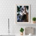 thumbnail image 1 of Cuadros Decorativos Pintura de diamante de taladro redondo completo 5D DIY decoración arte Animal hogar dibujo de imagen Ndcxsfigh Nuevos Originales, 1 of 8
