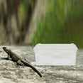 thumbnail image 3 of Terrario de plástico transparente para cría de reptiles con orificios transpirables, caja portátil para insectos, ideal para lagartos, serpientes, arañas y ranas, para cría y alimentación., 3 of 6